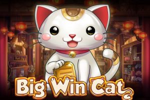 Trải nghiệm chiến thắng liên hoàn tại Big Win Cat, tại sao không?